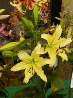 Foto: Dr. Peter Müller